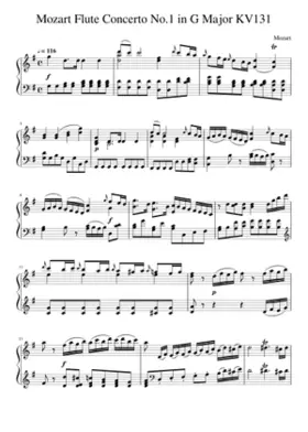 Flute Concerto in G major K.313/285c