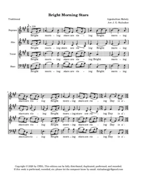 Bright morning stars are rising