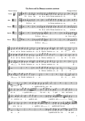 Un foco sol la Donna nostra accese