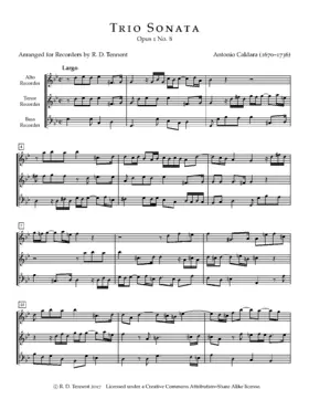 Trio Sonata in G minor