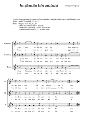 Jungfrau ihr habt entzündet