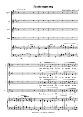 Passionsgesang, op. 46