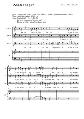 Ahi cor se pur sei core