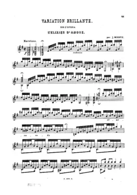 Variation brillante de l'opera " L'Elixier d'Amore ", Donizetti