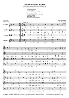 In un boschetto adorno