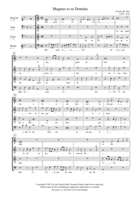 Magnus es tu Domine - Tu pauperum refugium