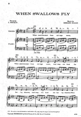 When Swallows Fly