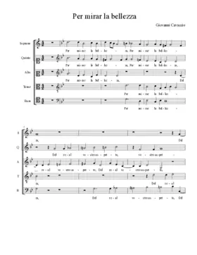 Per mirar la bellezza