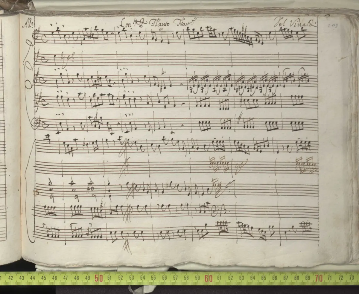 Flute concerto in E minor - Page 1