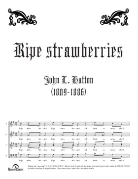 Ripe strawberries