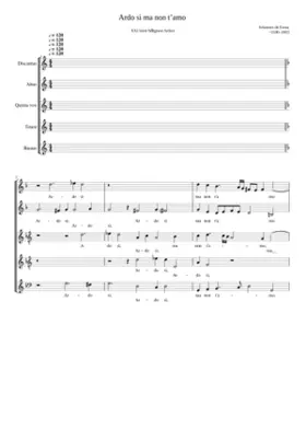 Ardo sì ma non t'amo