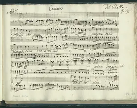 Fonti di pianto piangete