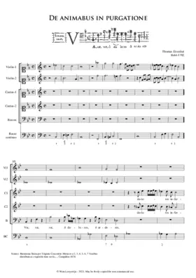 De animabus in purgatione