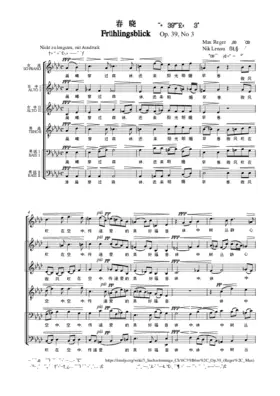 Frühlingsblick: Durch den Wald, den dunkeln