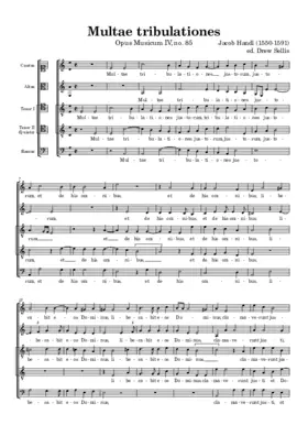 Multae tribulationes