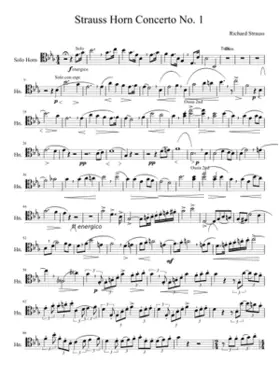 Horn Concerto No.1 Op.11