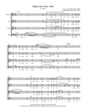 Uxor tua sicut vitis (Gradual)