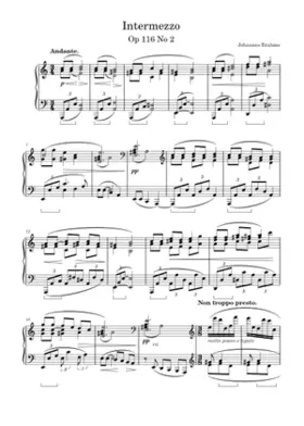 7 Fantasien Op.116