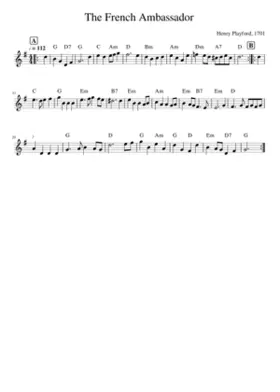 The French Ambassador