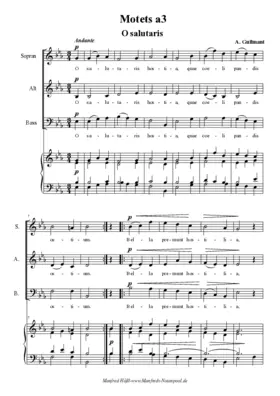 3 3-st. Motetten