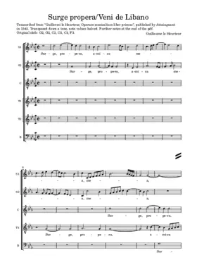 Surge propera - Veni de Libano