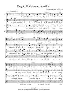 Du går, Guds lamm, du milda