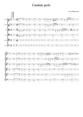 Candide perle