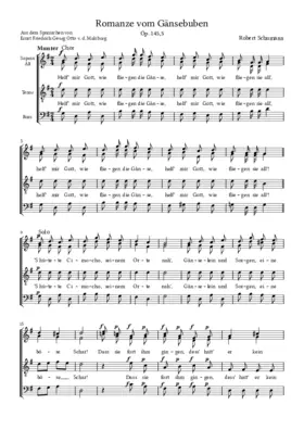 Romanze vom Gänsebuben, Op. 145, No. 5