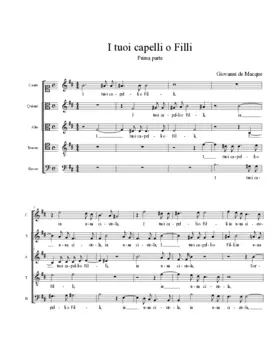 I tuoi capelli o Filli