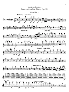 Die Weihe des Hauses