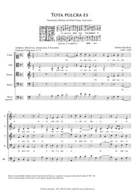 Tota pulcra es