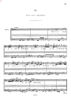 Siete rose rugiadose