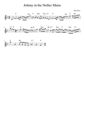 Johnny in the Nether Mains