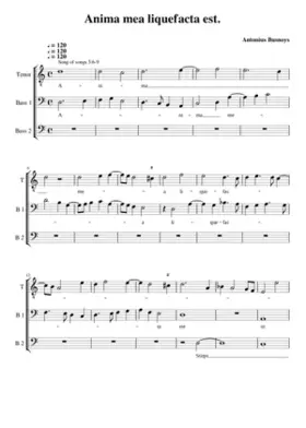 Anima mea liquefacta est