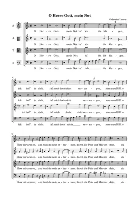 O Herre Gott, mein Not