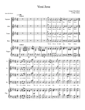 Veni Jesu