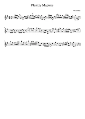 Planxty Maguire
