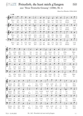 Feisnlieb du hast mich g'fangen