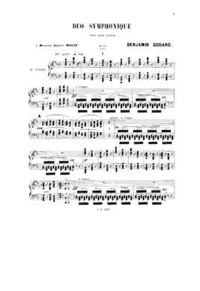 Duo symphonique