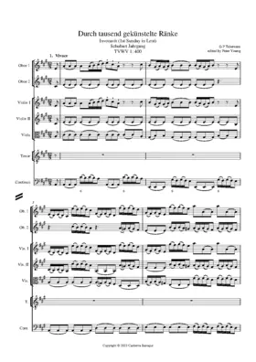 Durch tausend gekünstelte Ränke, TWV 1:400