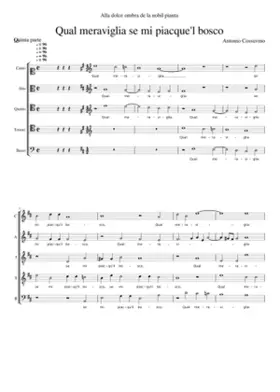 Qual meraviglia se mi piacque'l bosco