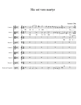 Hic est vere martyr