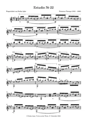 Estudio No.22