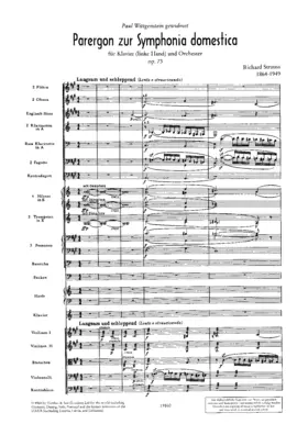 Parergon zur Sinfonia Domestica for piano left hand and orchestra