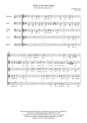 Ardo, sì, ma non t'amo