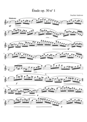 24 Etudes for Flute Op.30