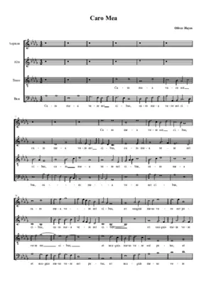 Caro mea