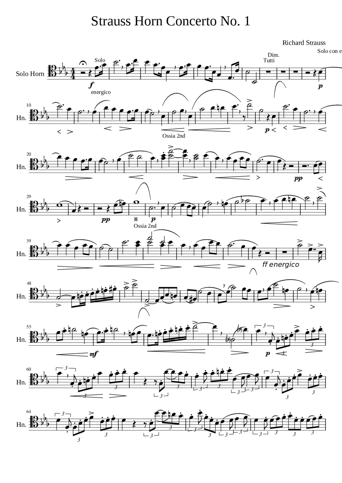 Horn Concerto No.1 Op.11 - Page 1