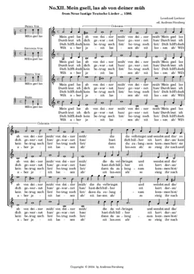 Mein gsell, las ab von deiner müh