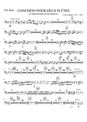 TRBB. CONCERTO 2 FLUTES